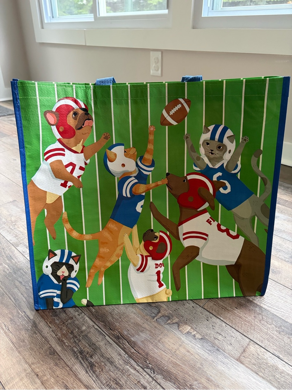 Reusable Tote Bag with Football Dogs & Cats - Green and Blue